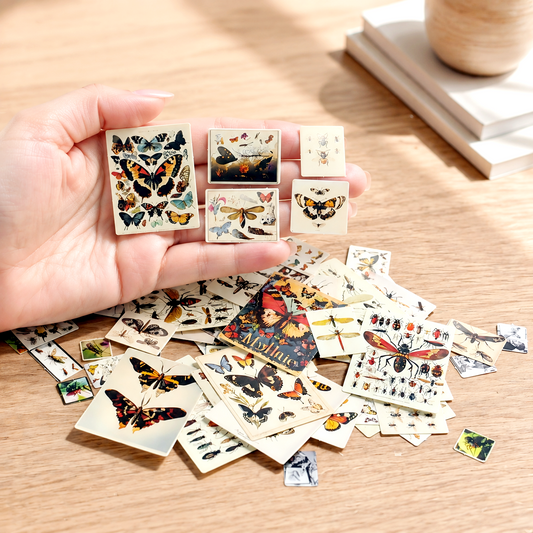 Insect 3D Model Kit