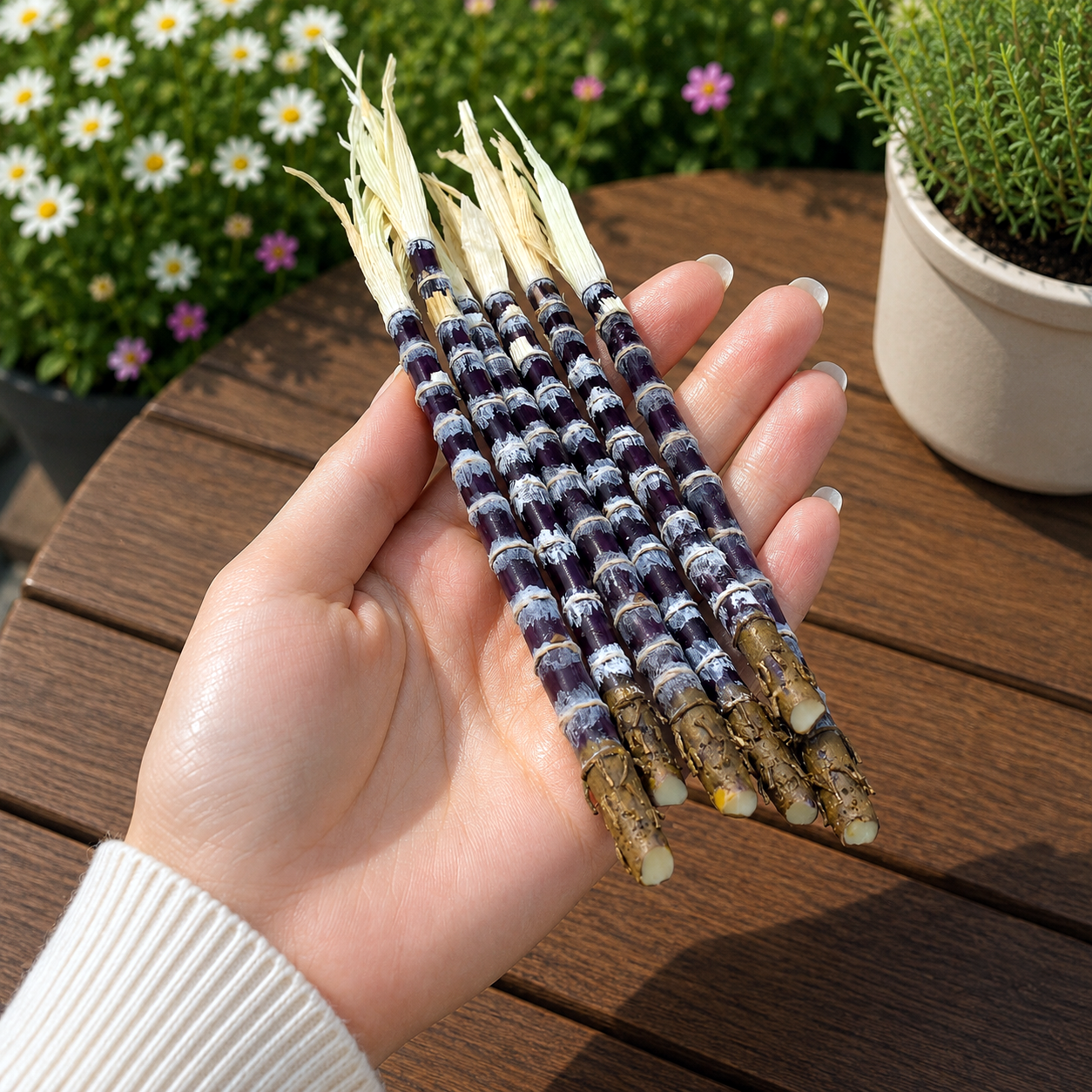 1:6 Scale Miniature Purple Sugar Cane Set – Dollhouse Realistic Tropical Sugarcane Stalk, Handmade Polymer Clay Asian Market Food for Blythe BJD Diorama