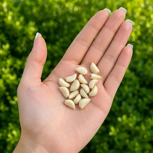 16Pcs Miniature Garlic Cloves Set – Hand-Sculpted 1:6 Scale Dollhouse Peeled Garlic with Glossy Skin and Root Ends, Realistic Tiny Aromatics for Blythe & Barbie Kitchen Dioramas, Resin Jewelry & Polymer Clay Food Miniatures