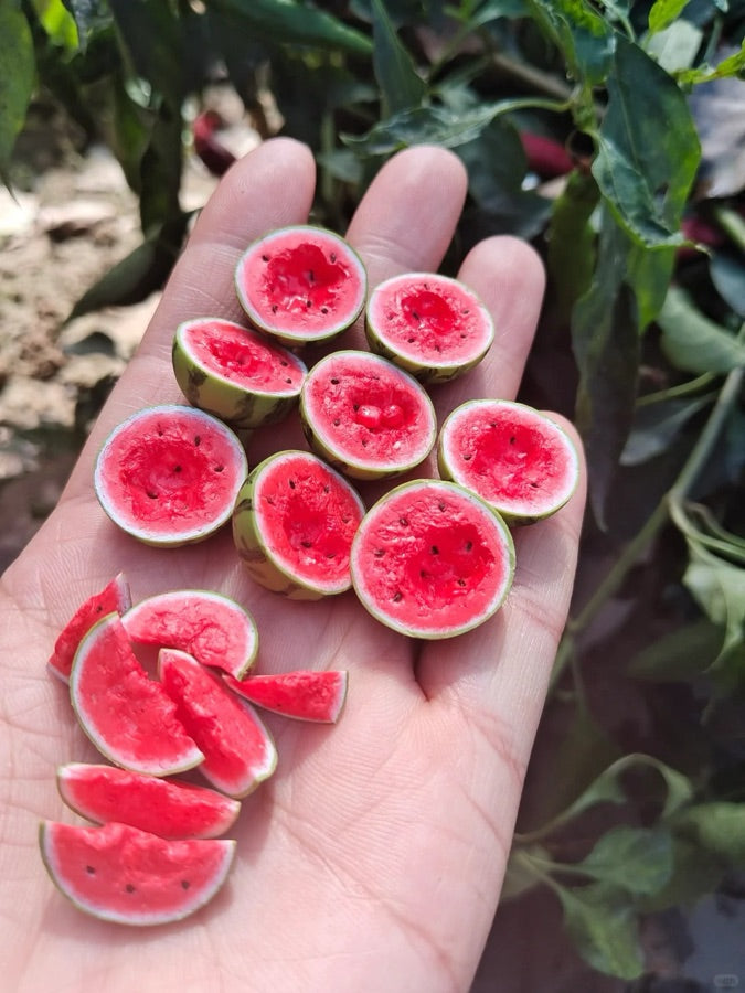 Tiny watermelons, held in a hand