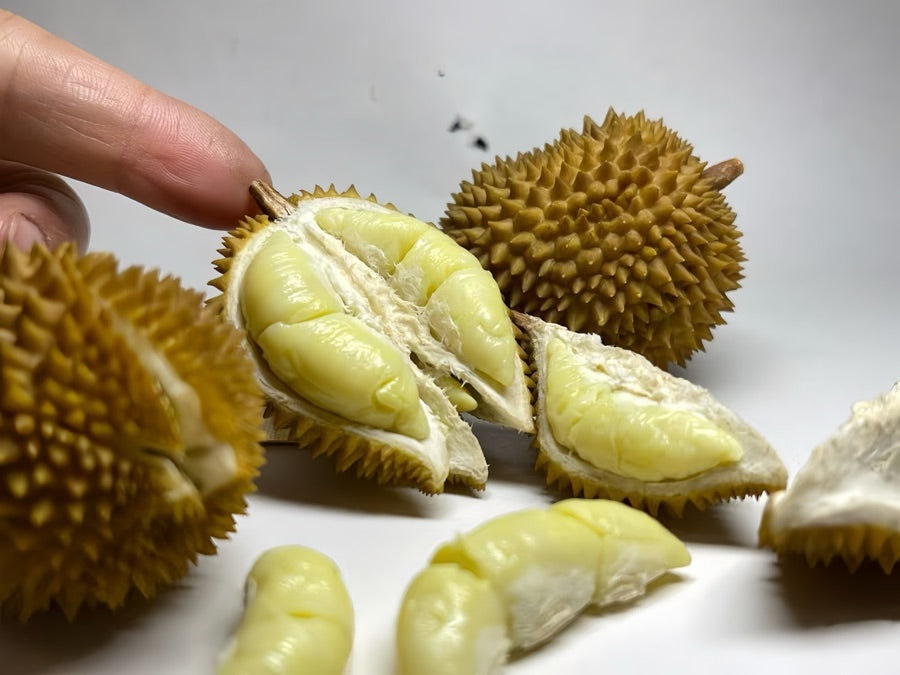 Miniature durian with intricate texture