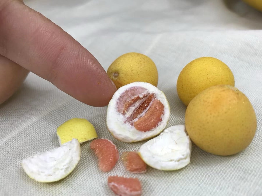 Fruit miniature 4