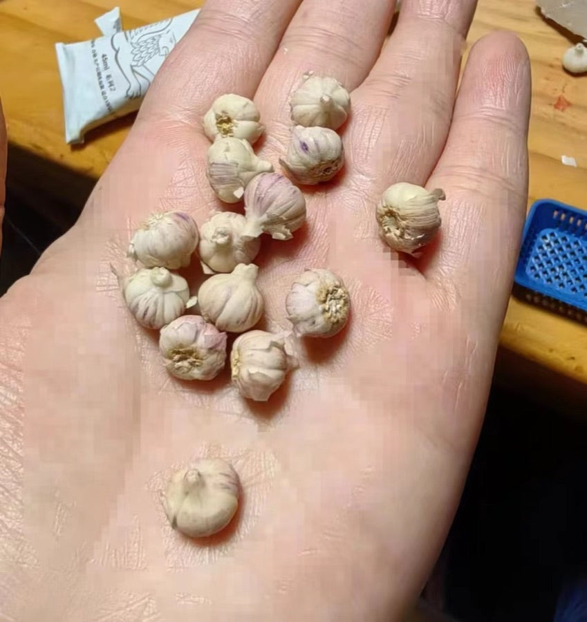 Vegetables miniature 5