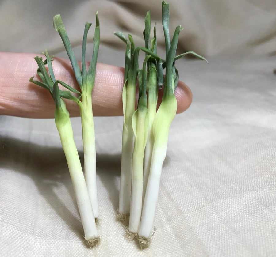 Vegetables miniature 6