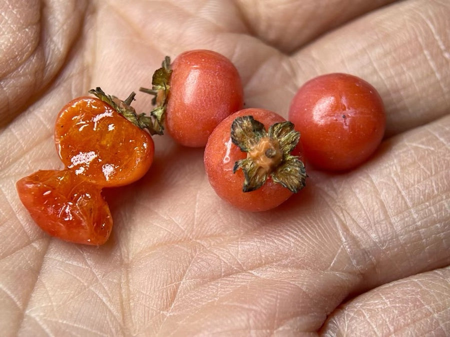 Vegetables miniature 7